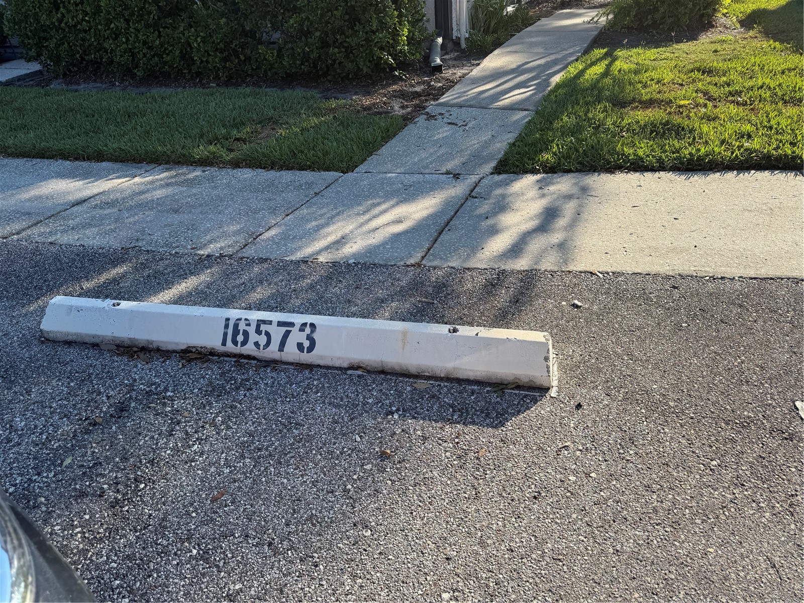 16573 Brigadoon Drive Tampa FL 33618 TB8503417 image5