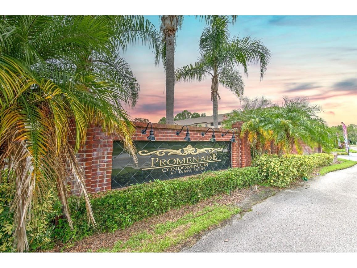 16573 Enclave Village Drive #16573 Tampa FL 33647 T3553452 image1