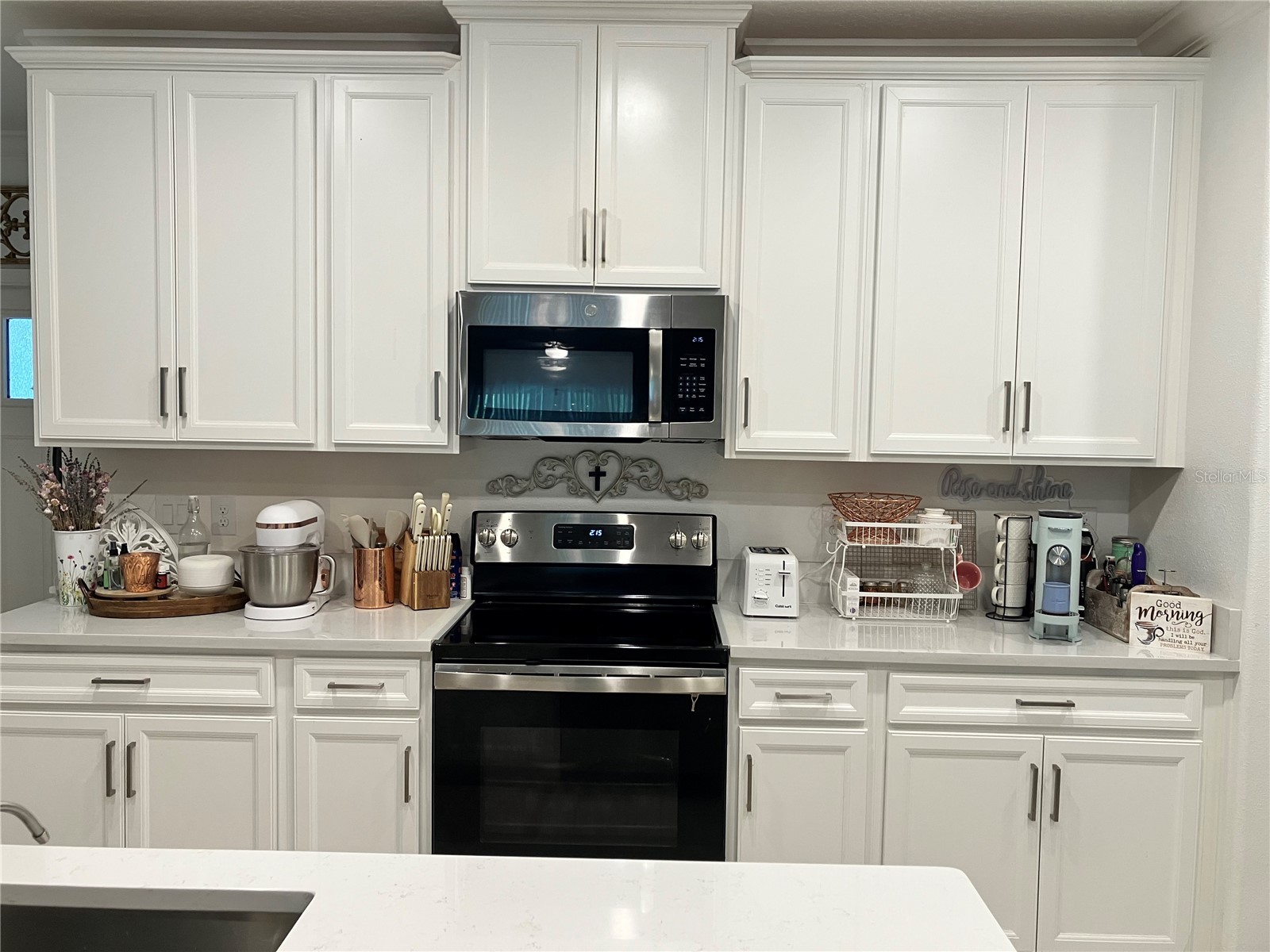 16579 Shell Bay Drive Land O Lakes FL 34638 W7887913 image8