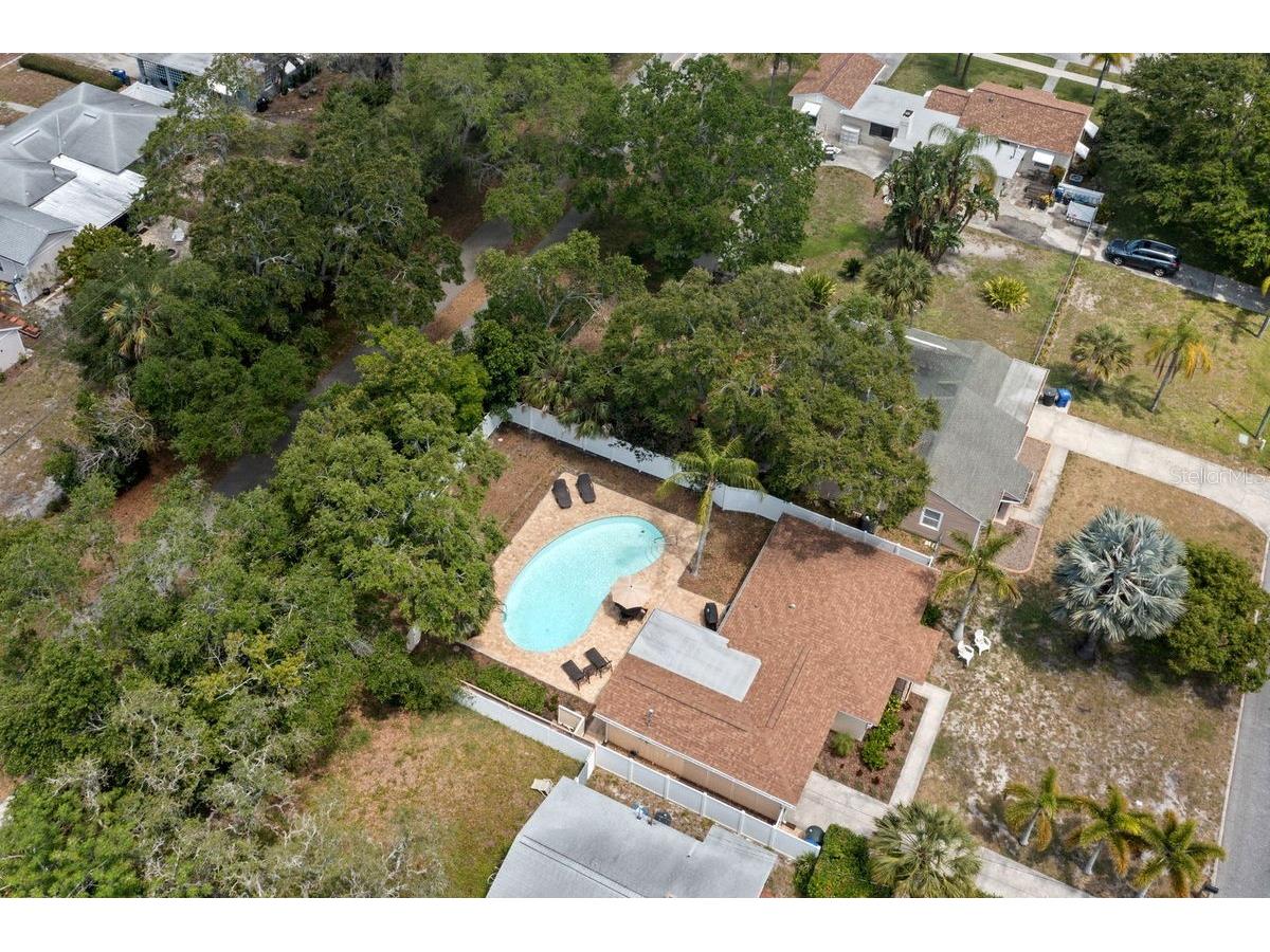 1658 Douglas Avenue Dunedin FL 34698 TB8496991 image31