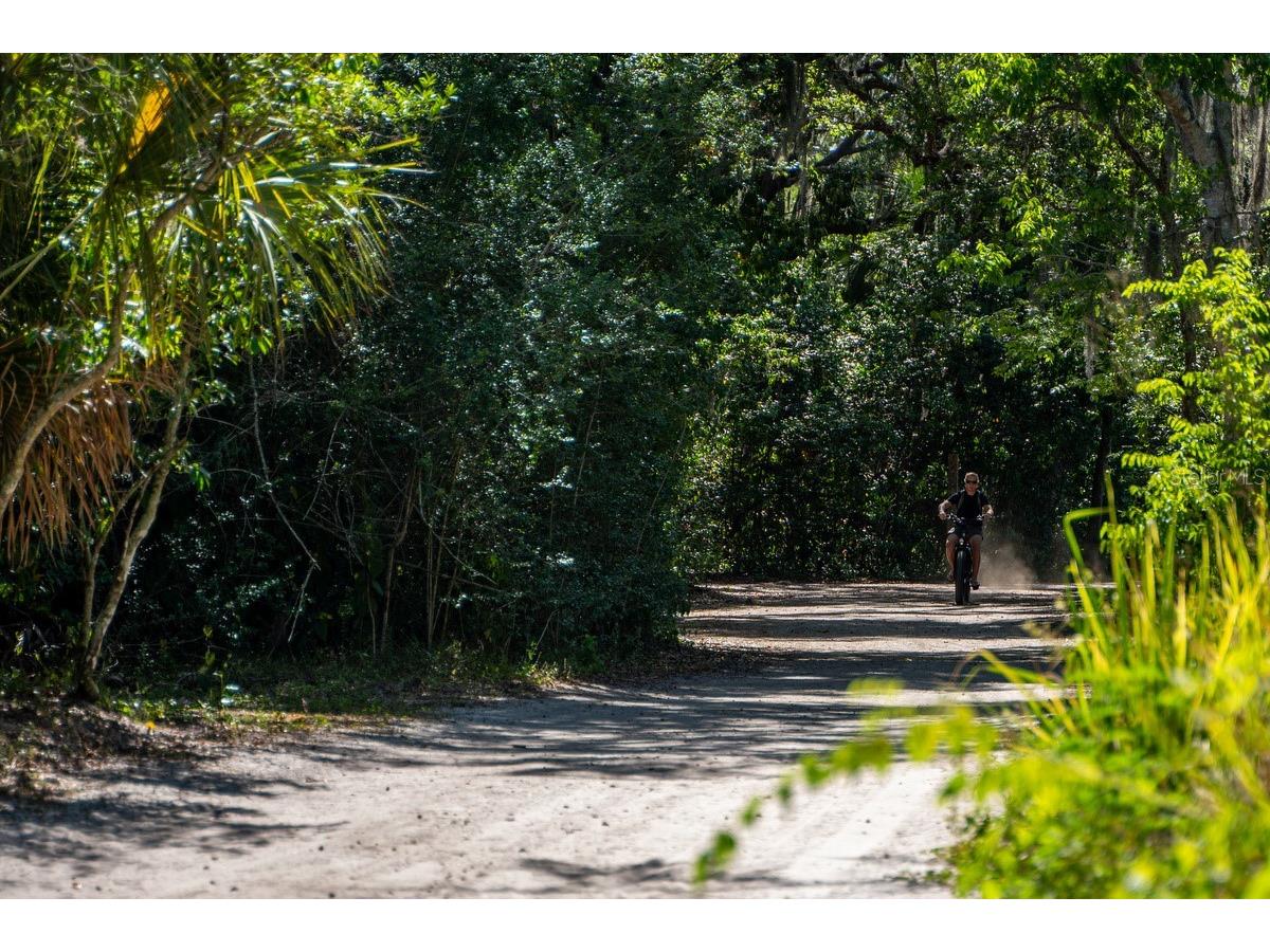 1658 Douglas Avenue Dunedin FL 34698 TB8496991 image36