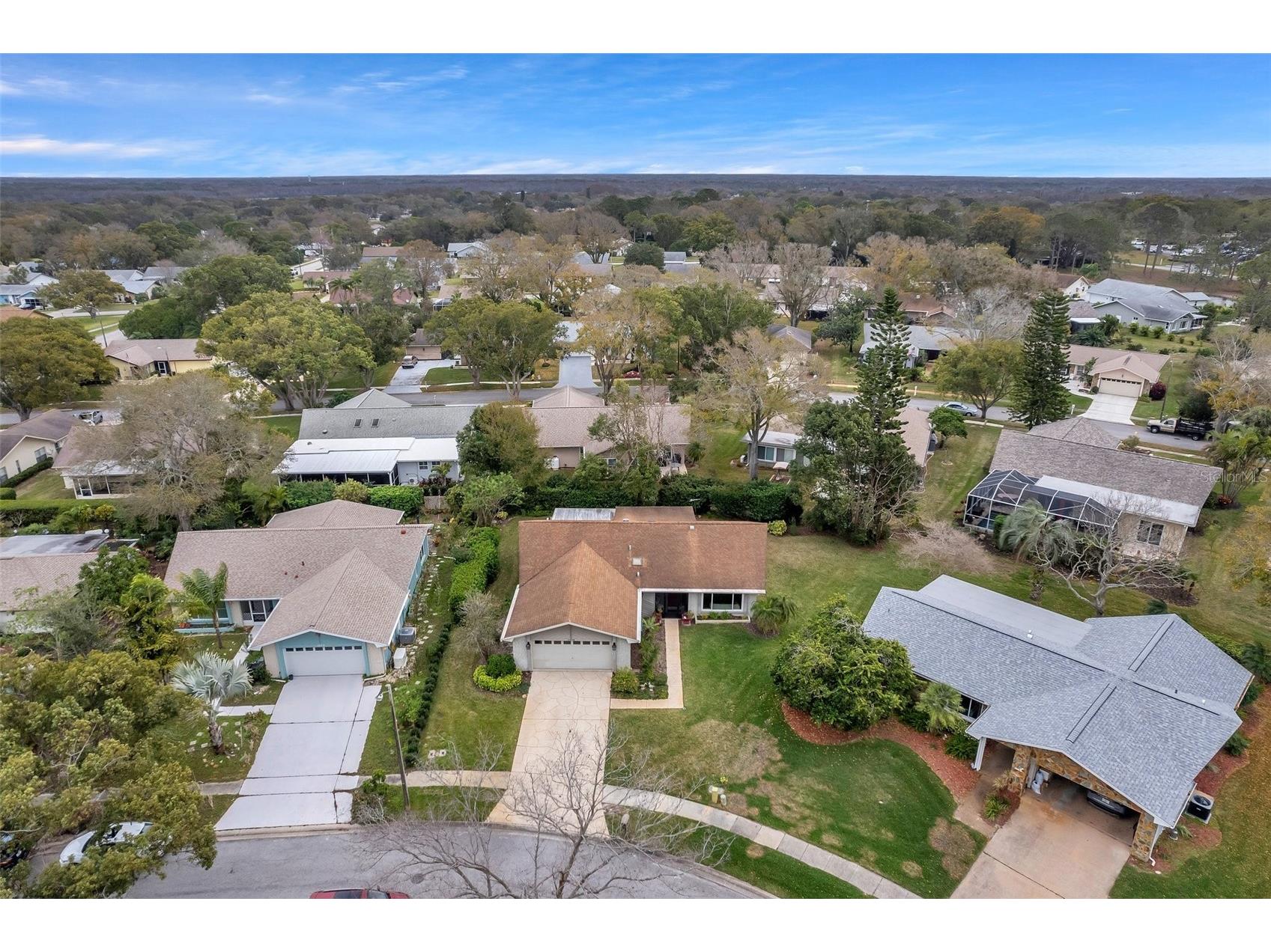 1658 Macdonnell Court Palm Harbor FL 34684 - LAKE TARPON TB8502638 image49