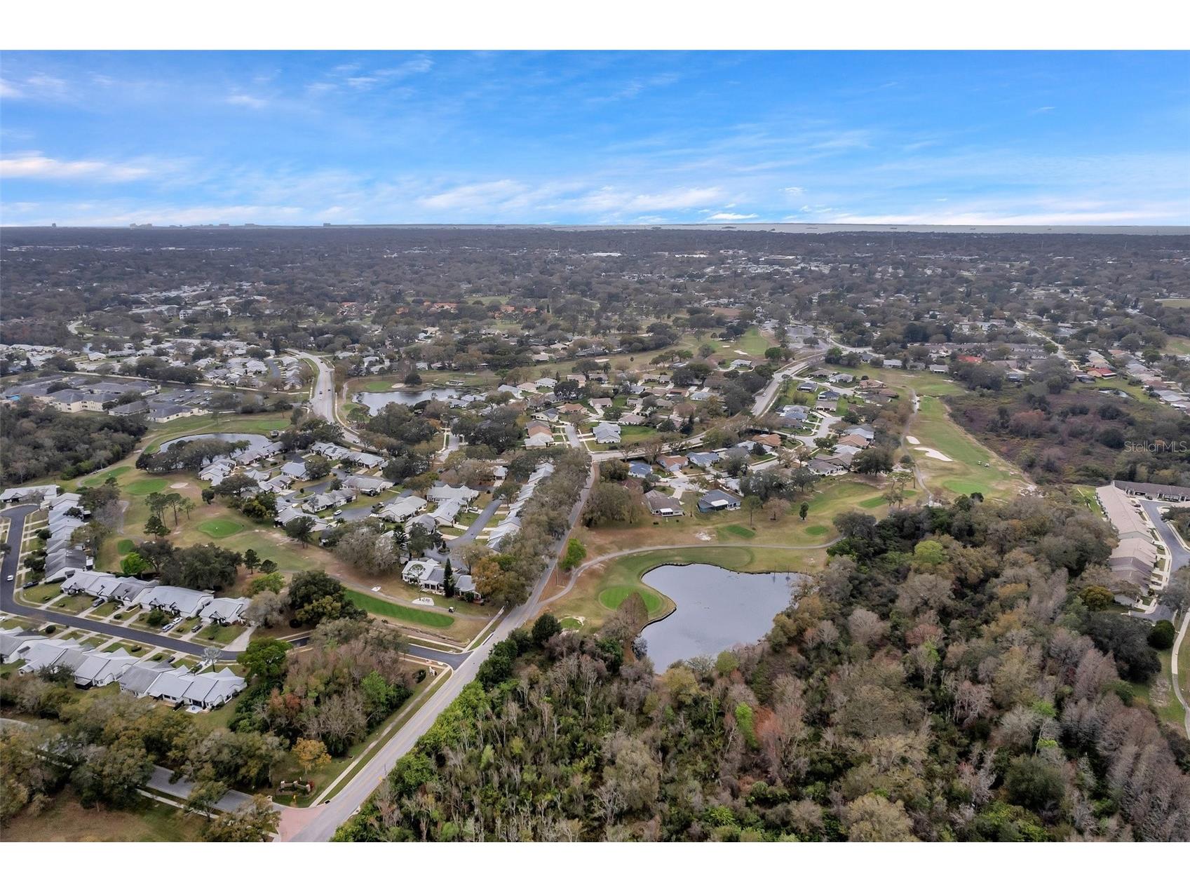 1658 Macdonnell Court Palm Harbor FL 34684 - LAKE TARPON TB8502638 image51