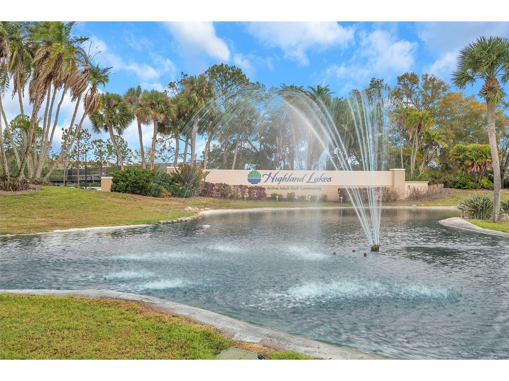 1658 Macdonnell Court Palm Harbor FL 34684 - LAKE TARPON TB8502638 image54