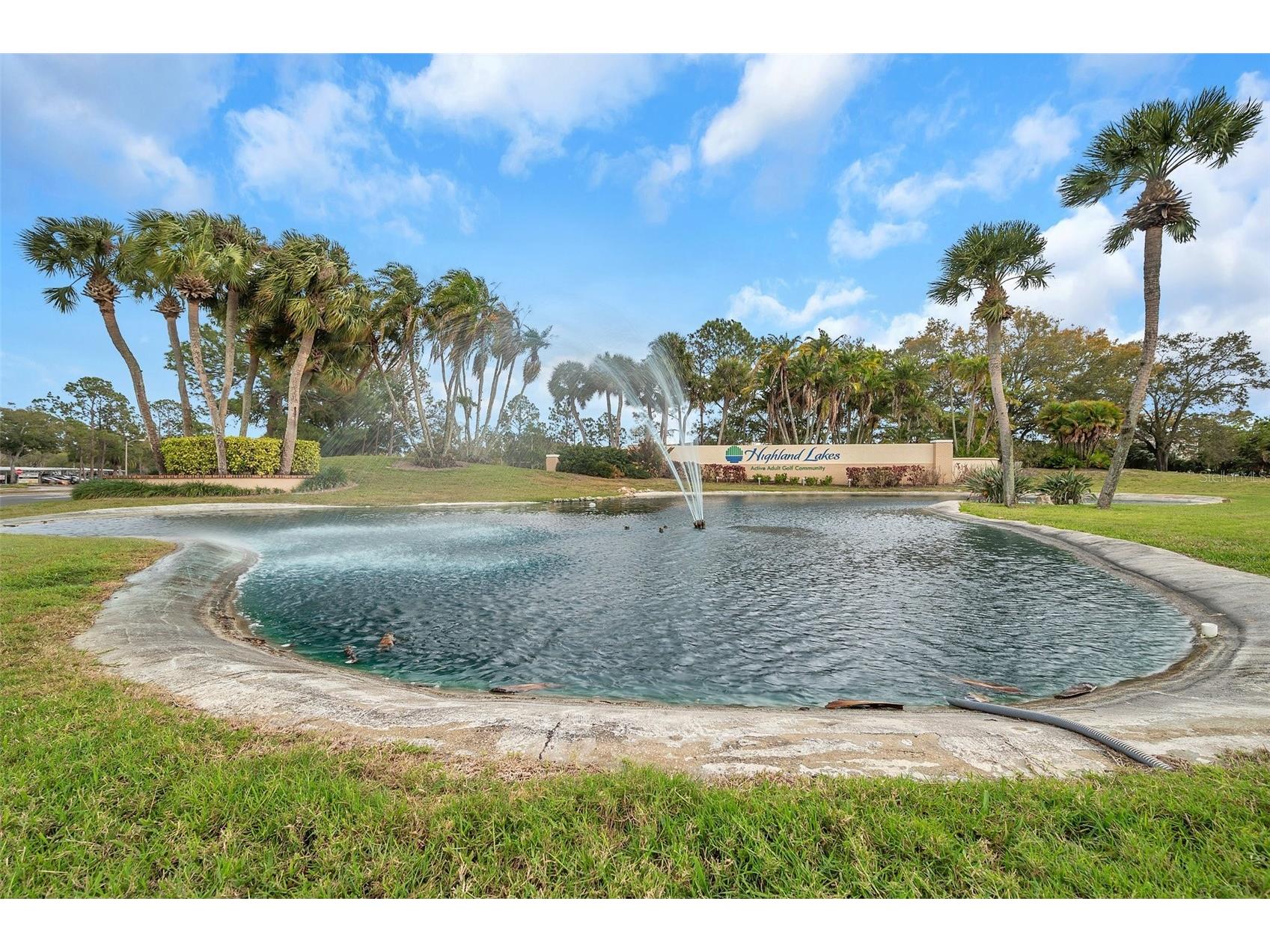 1658 Macdonnell Court Palm Harbor FL 34684 - LAKE TARPON TB8502638 image55