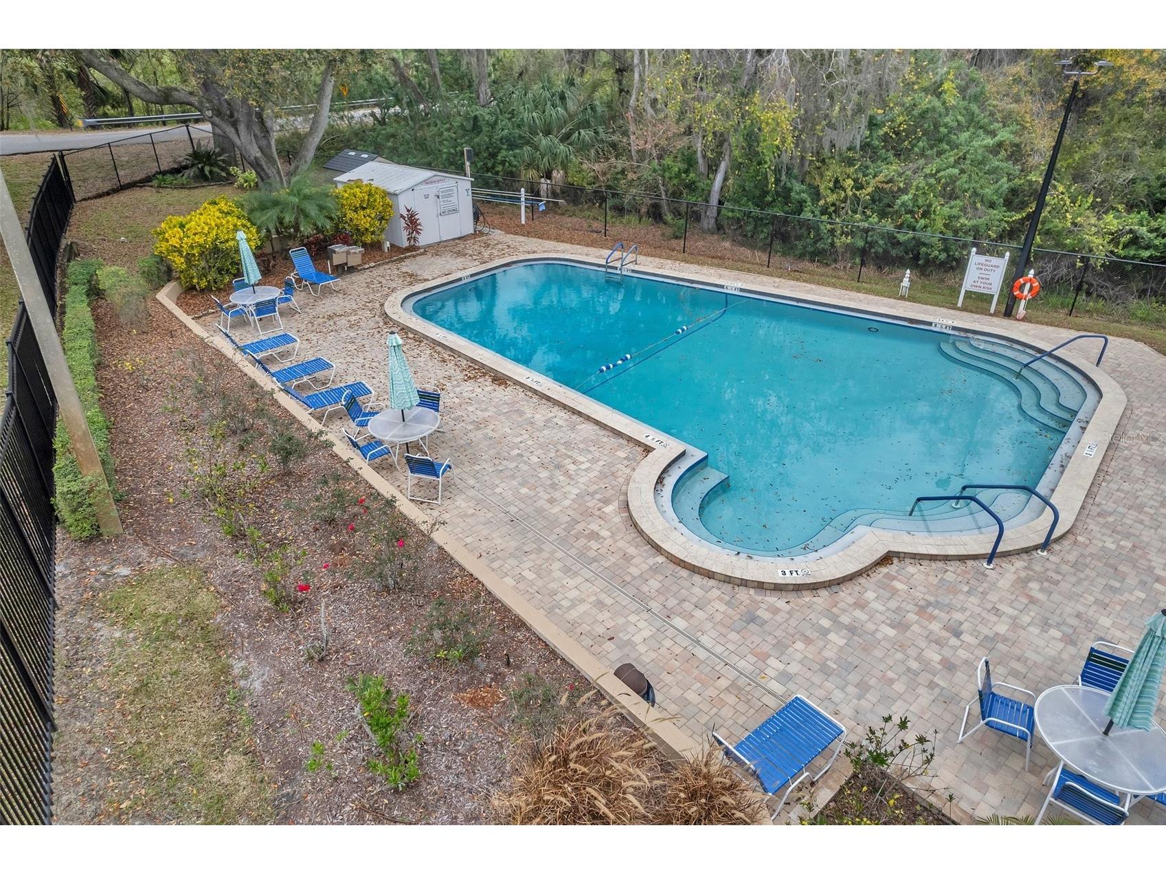 1658 Macdonnell Court Palm Harbor FL 34684 - LAKE TARPON TB8502638 image60
