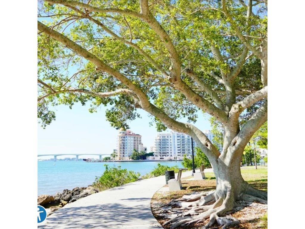 1659 2nd Street #515 Sarasota FL 34236 A4657126 image16
