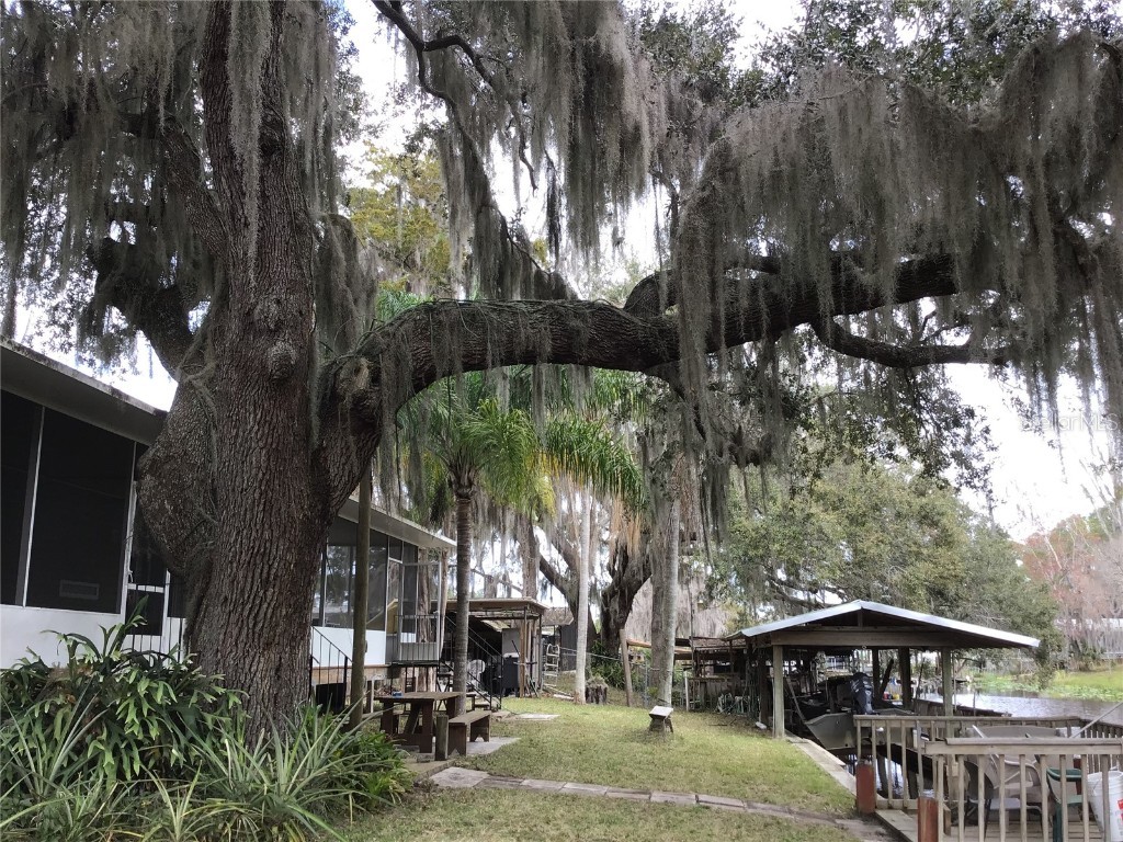 1659 Bass Avenue Seville FL 32190 - LAKE GEORGE ST. JOHNS RIVER V4934563 image1