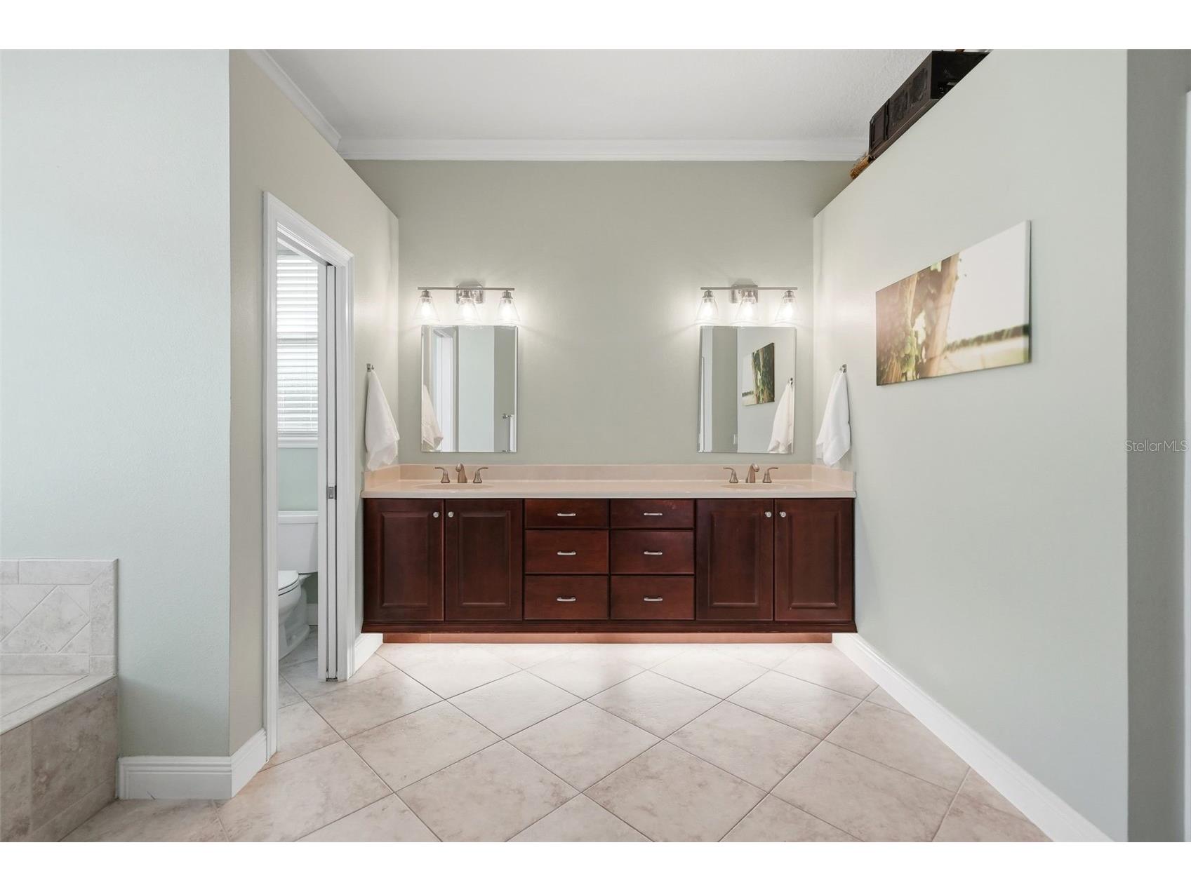1659 Conway Isle Circle Belle Isle FL 32809 O6421517 image16