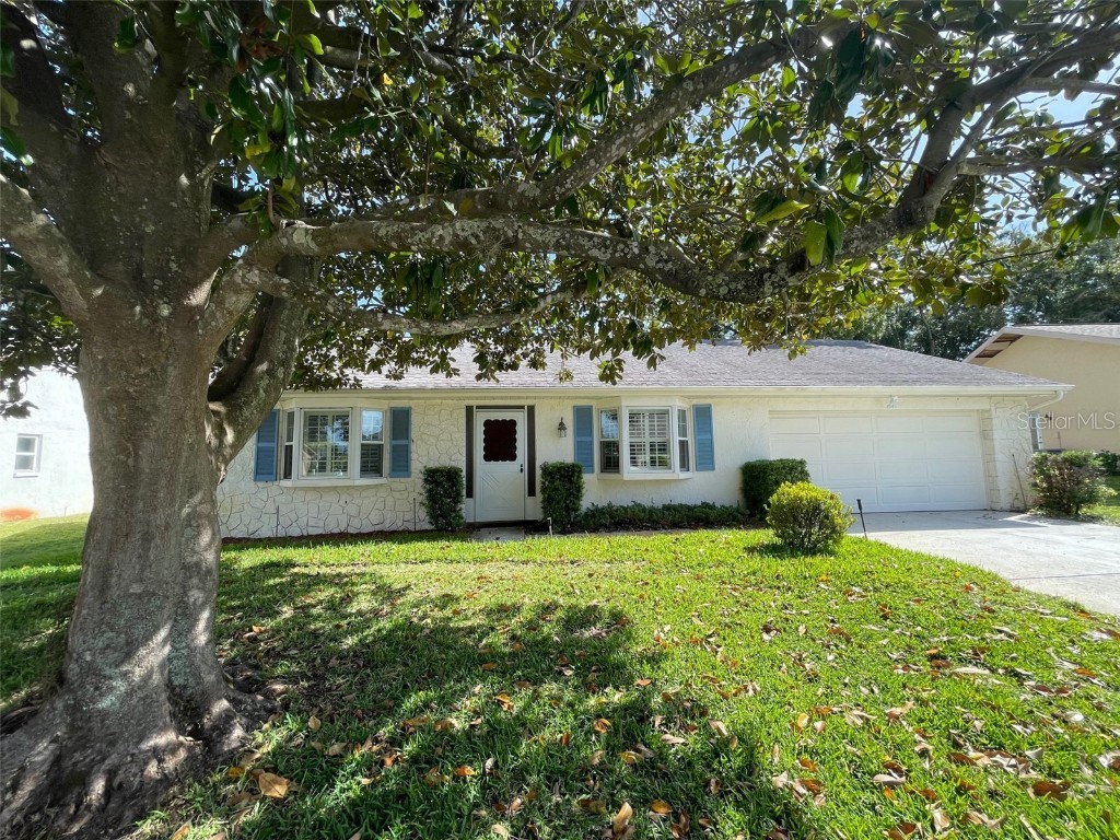 1659 E Dorchester Court Palm Harbor FL 34684 T3485052 image1