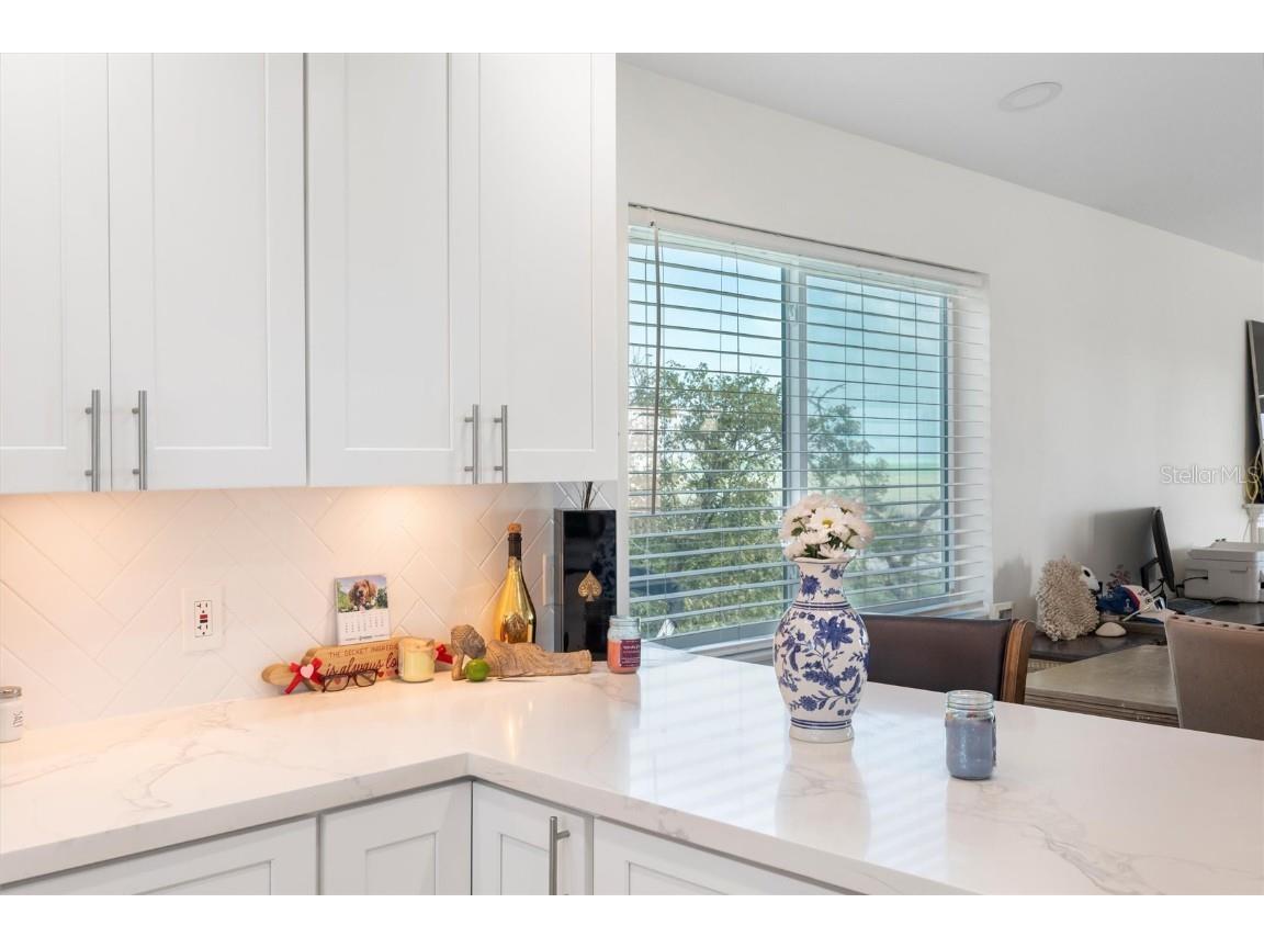 1659 Long Beach Drive Big Pine Key FL 33043 - ATLANTIC OCEAN TB8371529 image13