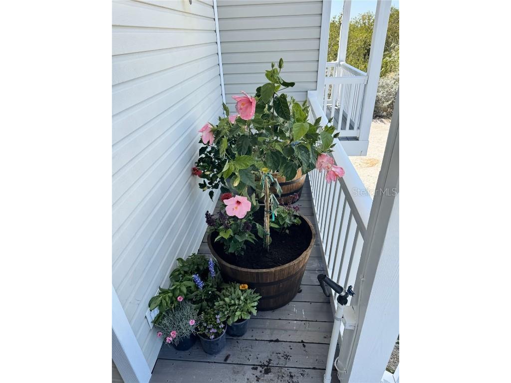 1659 Long Beach Drive Big Pine Key FL 33043 - ATLANTIC OCEAN TB8371529 image50