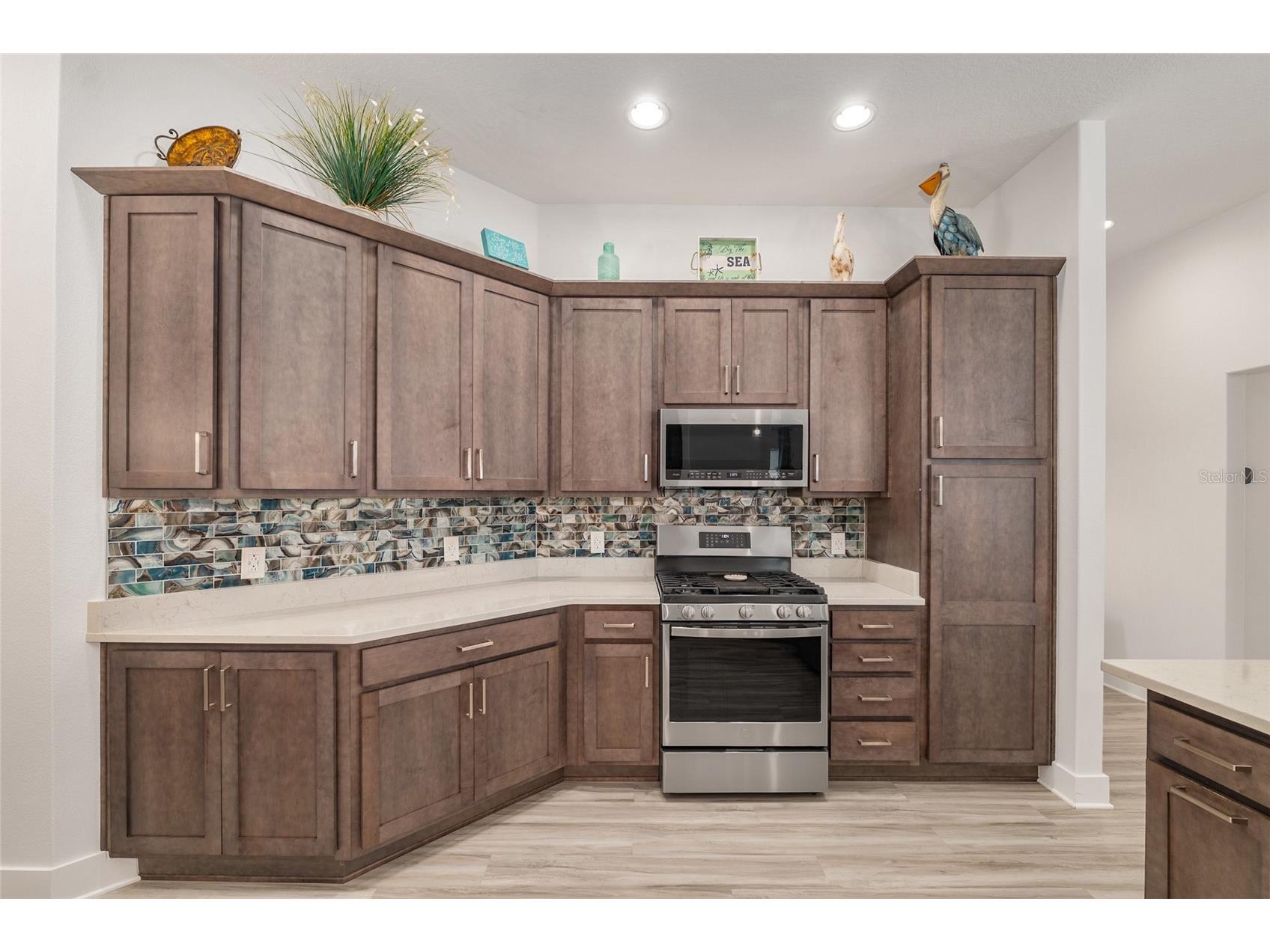 1659 Mcmurtrie Loop The Villages FL 34762 G5110146 image21