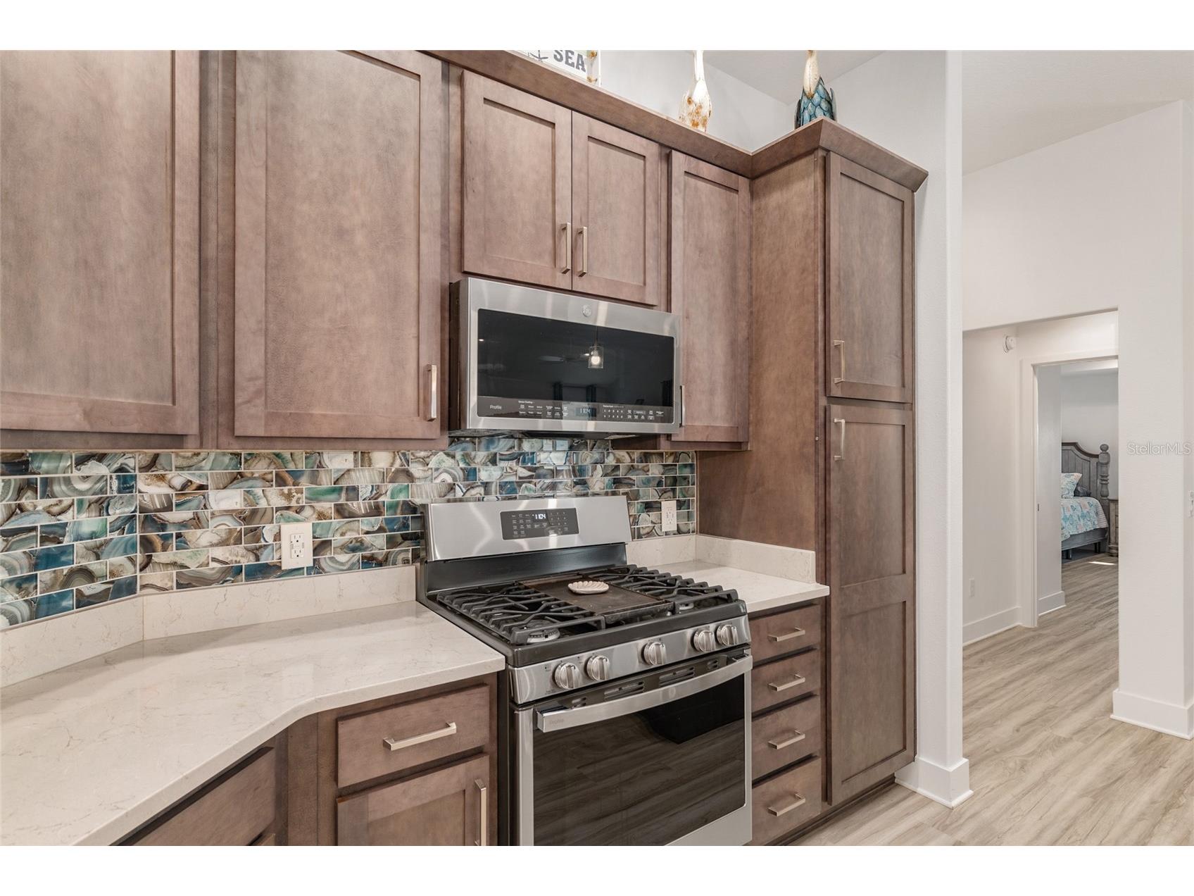 1659 Mcmurtrie Loop The Villages FL 34762 G5110146 image25