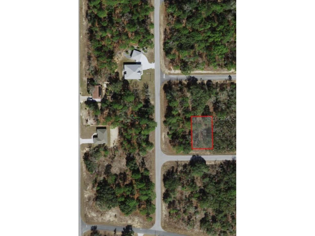 1659 W Belen Drive Dunnellon FL 34434 OM689307 image1