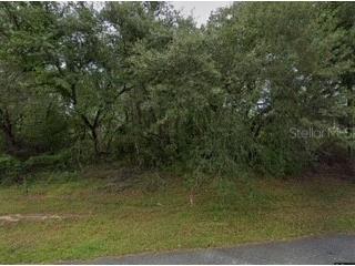 16593 SW 31st Circle Ocala FL 34473 G5103468 image1