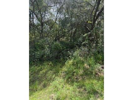 16593 SW 31st Circle Ocala FL 34473 G5103468 image2