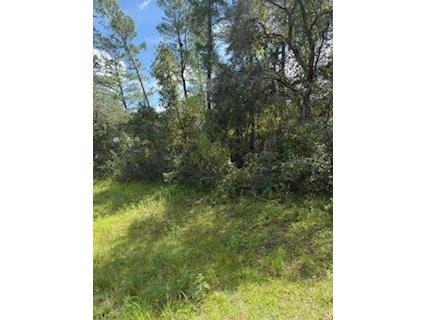 16593 SW 31st Circle Ocala FL 34473 G5103468 image3