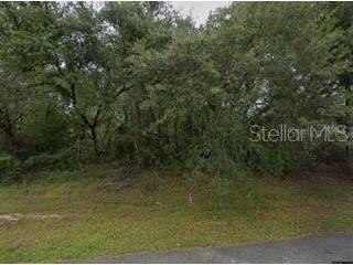 16593 SW 31st Circle Ocala FL 34473 OM715945 image1