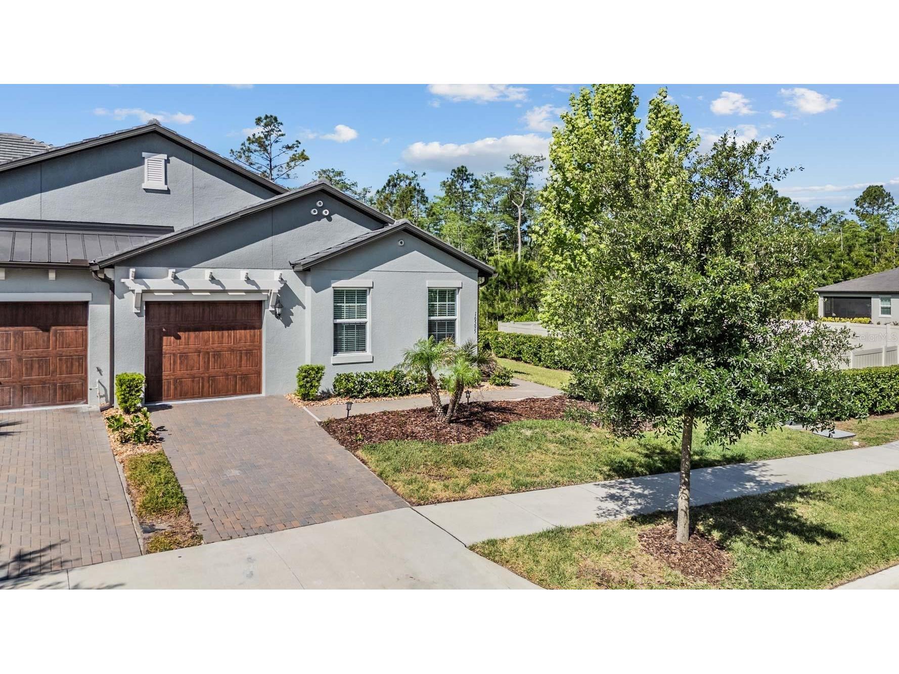 16595 Shell Bay Drive Land O Lakes FL 34638 TB8503488 image1