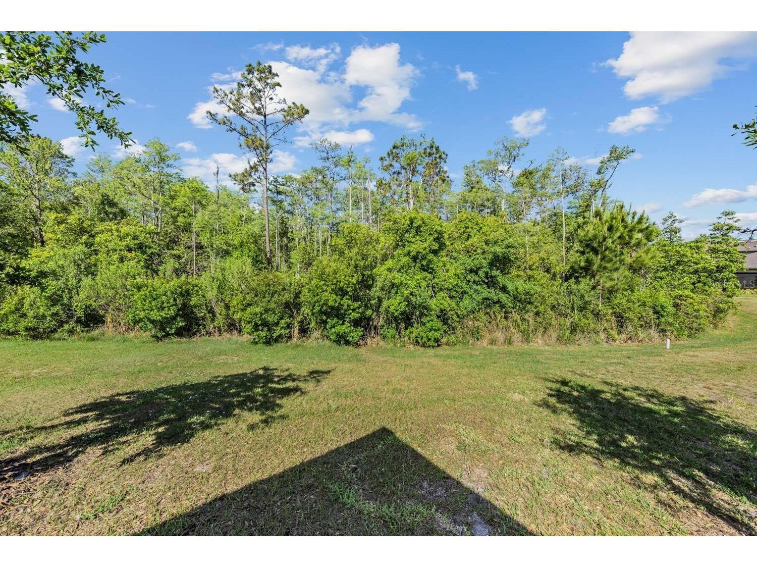 16595 Shell Bay Drive Land O Lakes FL 34638 TB8503488 image23