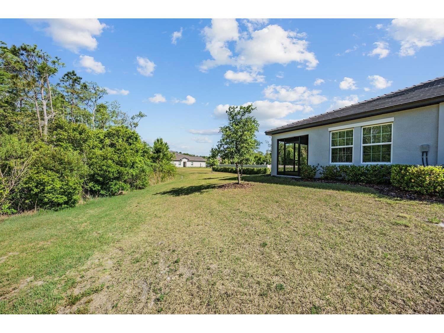 16595 Shell Bay Drive Land O Lakes FL 34638 TB8503488 image24
