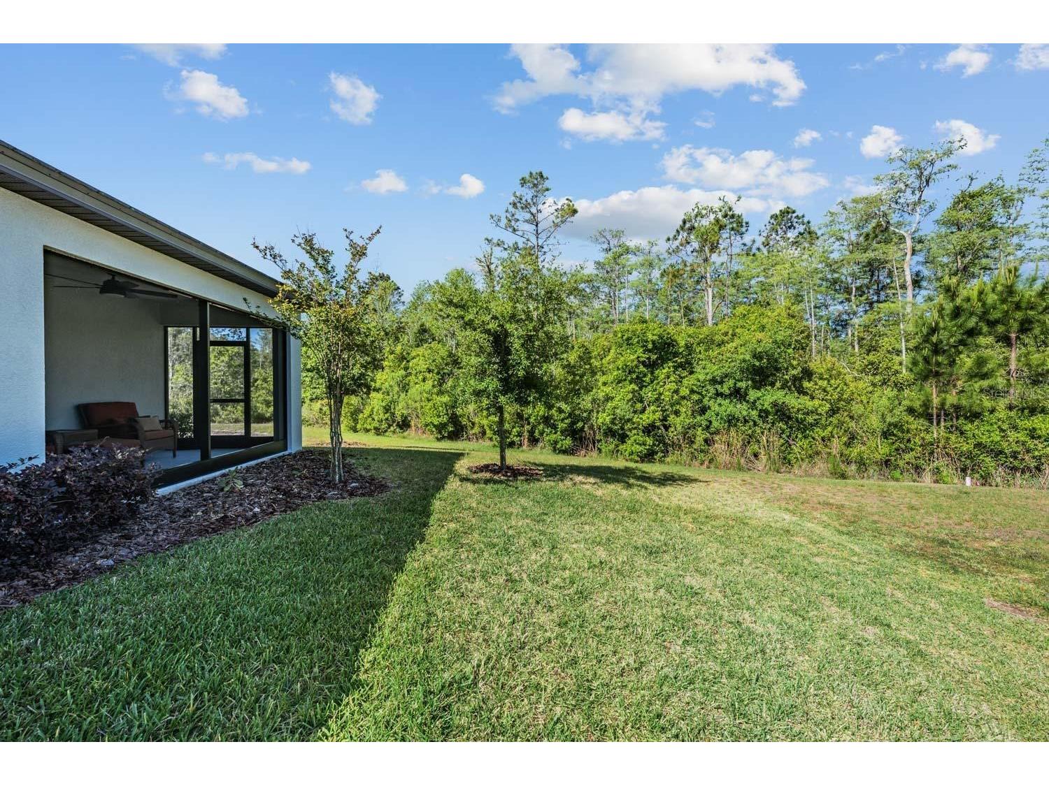 16595 Shell Bay Drive Land O Lakes FL 34638 TB8503488 image25