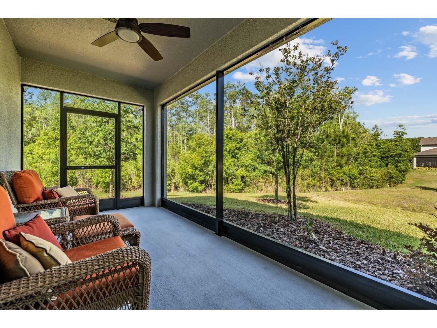 16595 Shell Bay Drive Land O Lakes FL 34638 TB8503488 image4