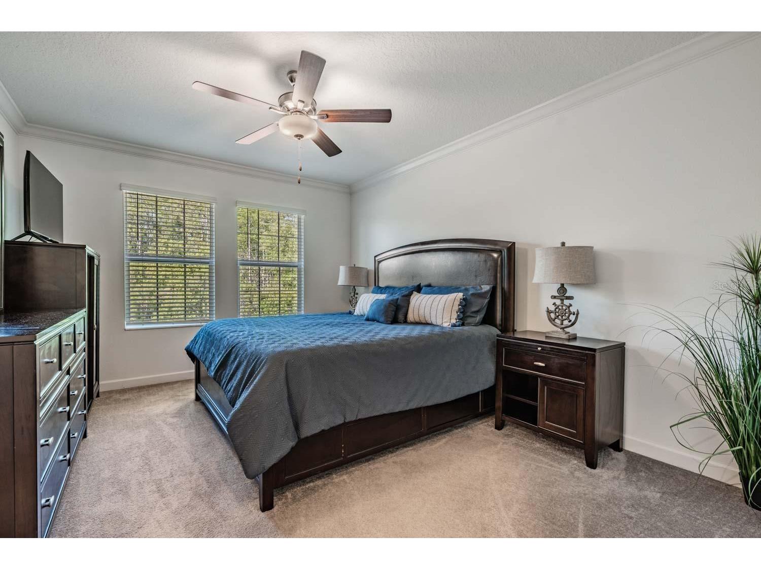 16595 Shell Bay Drive Land O Lakes FL 34638 TB8503488 image6
