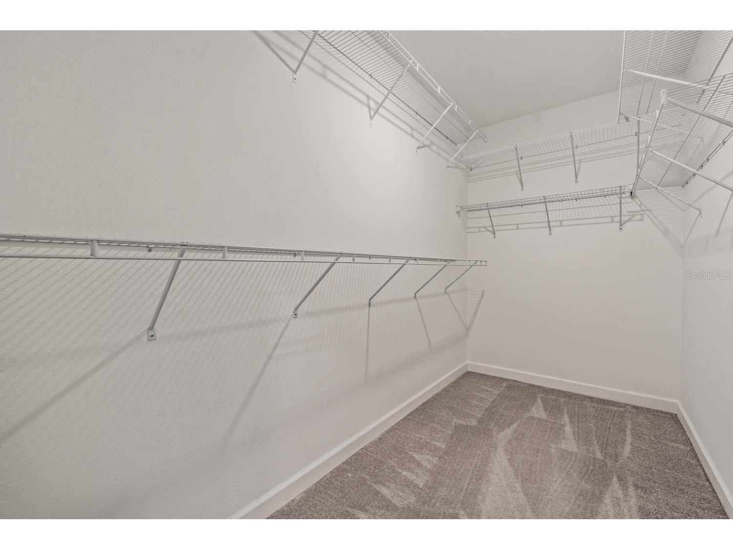 16595 Shell Bay Drive Land O Lakes FL 34638 TB8503488 image8