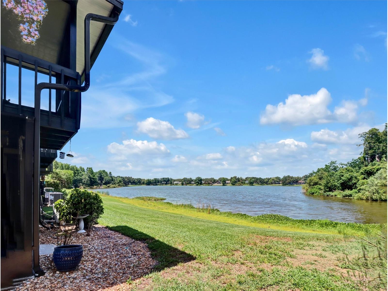 16596 Brigadoon Drive Tampa FL 33618 - LAKE HEATHER TB8519057 image14