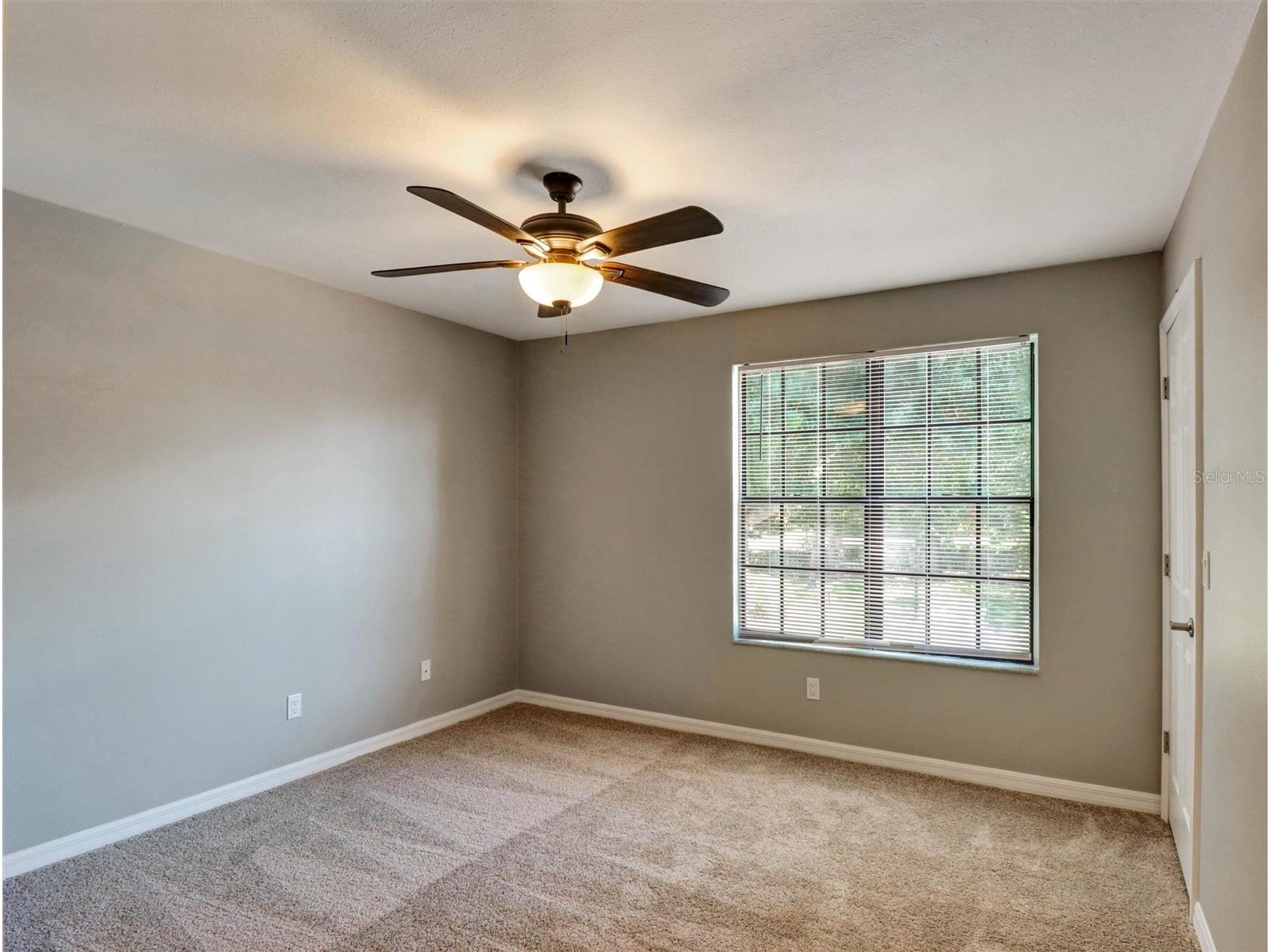 16596 Brigadoon Drive Tampa FL 33618 - LAKE HEATHER TB8519057 image23
