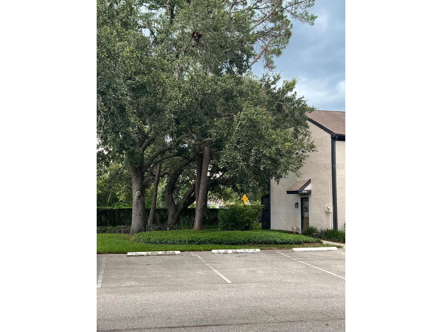16596 Brigadoon Drive Tampa FL 33618 - LAKE HEATHER TB8519057 image31