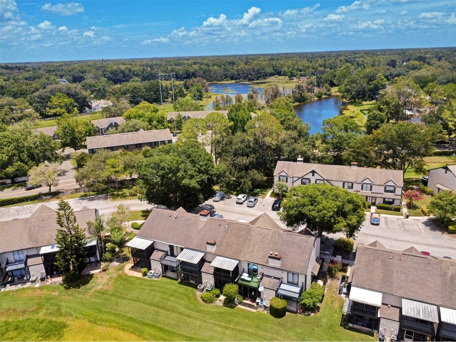 16596 Brigadoon Drive Tampa FL 33618 - LAKE HEATHER TB8519057 image34