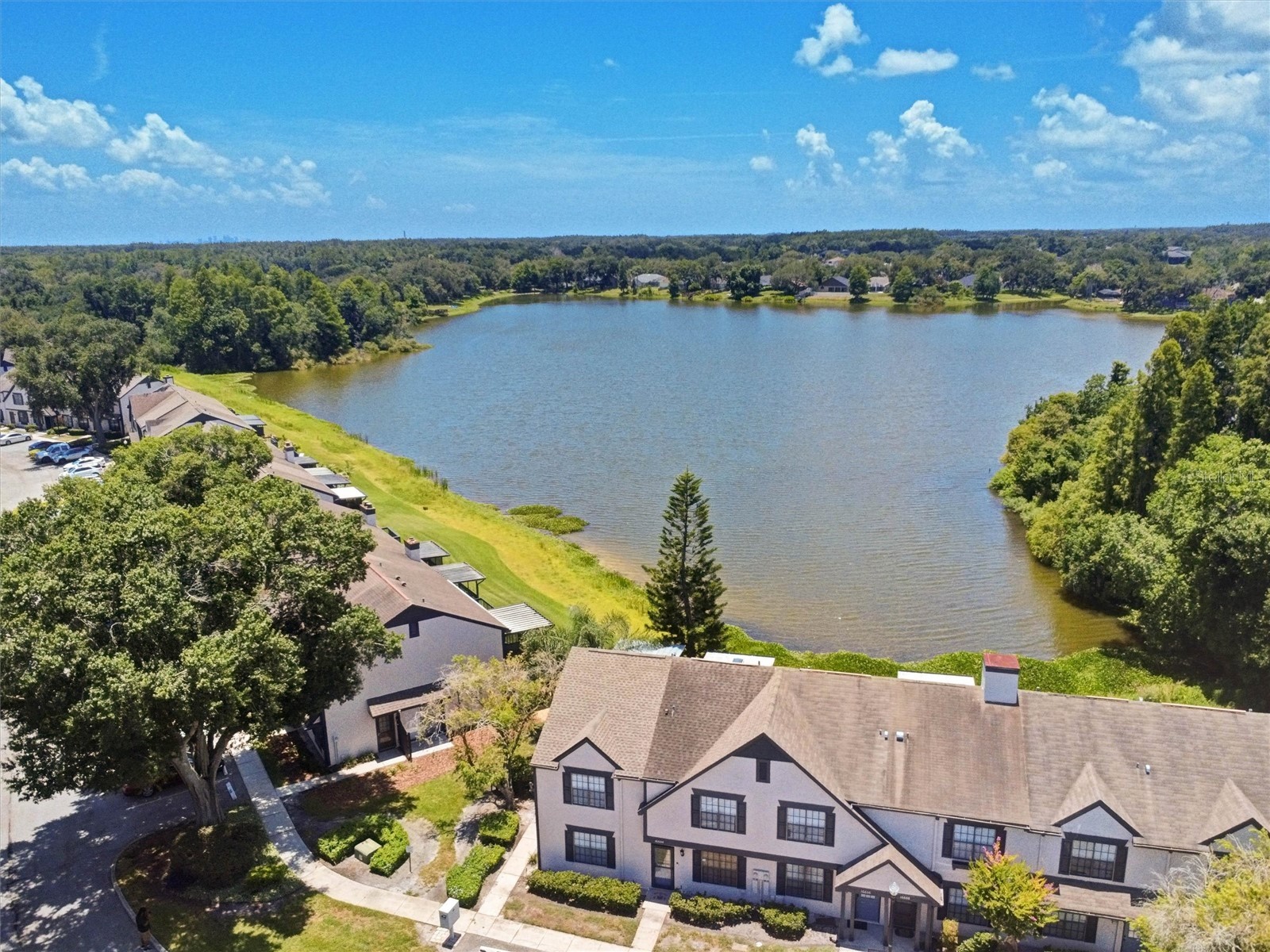 16596 Brigadoon Drive Tampa FL 33618 - LAKE HEATHER TB8519057 image38