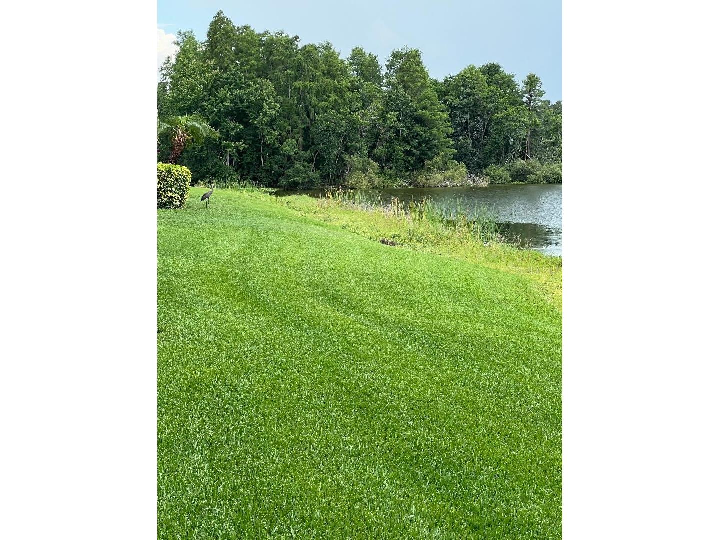 16596 Brigadoon Drive Tampa FL 33618 - LAKE HEATHER TB8519057 image40