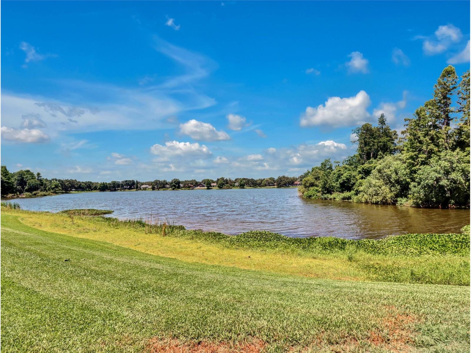 16596 Brigadoon Drive Tampa FL 33618 - LAKE HEATHER TB8519057 image41