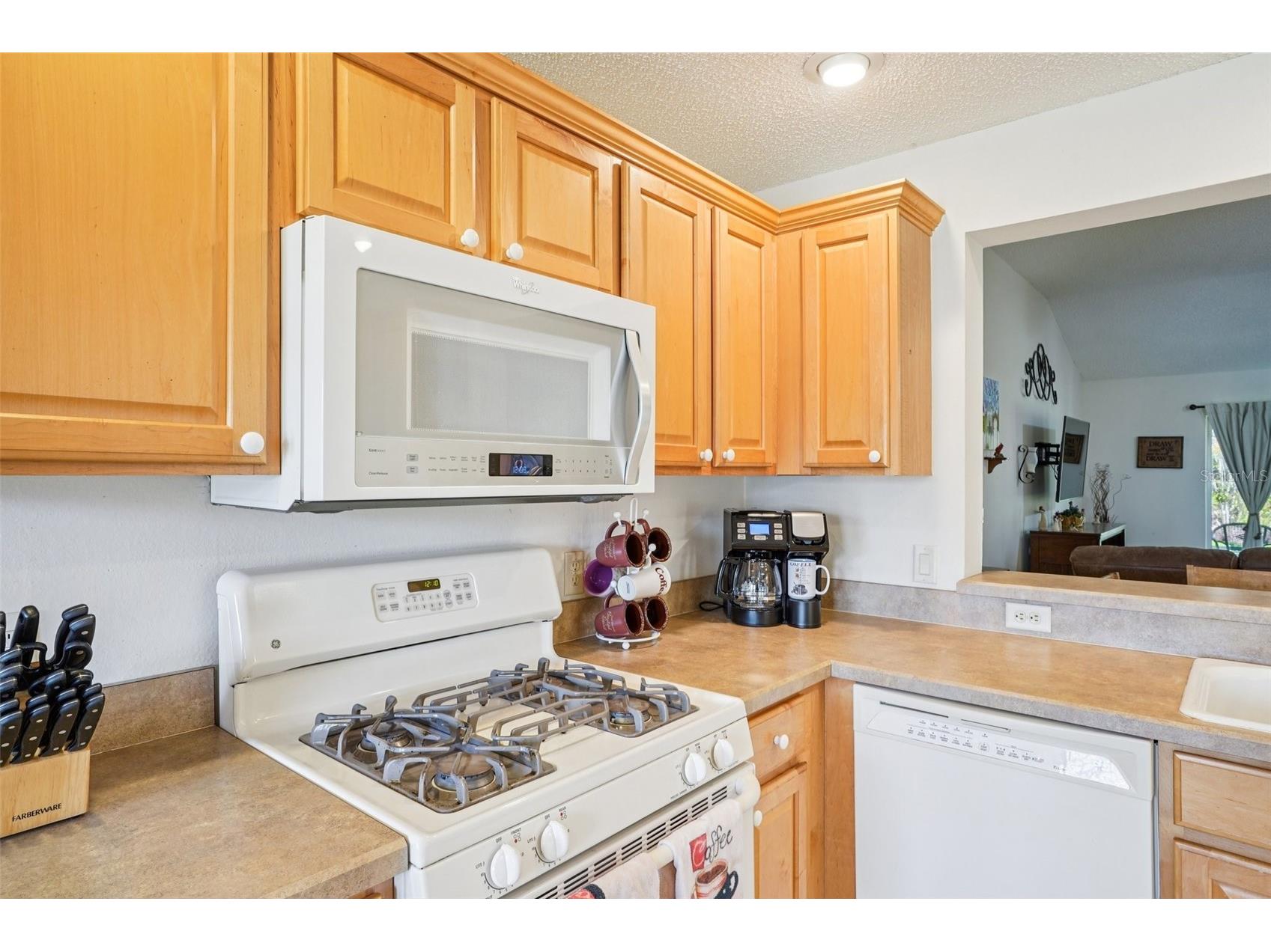 16596 SE 77th Northridge Court The Villages FL 32162 G5111003 image21