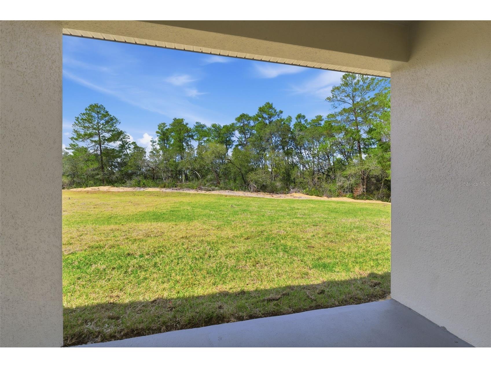16596 SW 31st Circle Ocala FL 34473 O6388466 image31