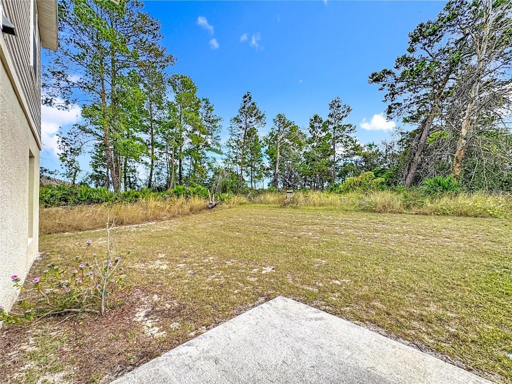 166 Maple Drive Kissimmee FL 34759 O6364577 image41