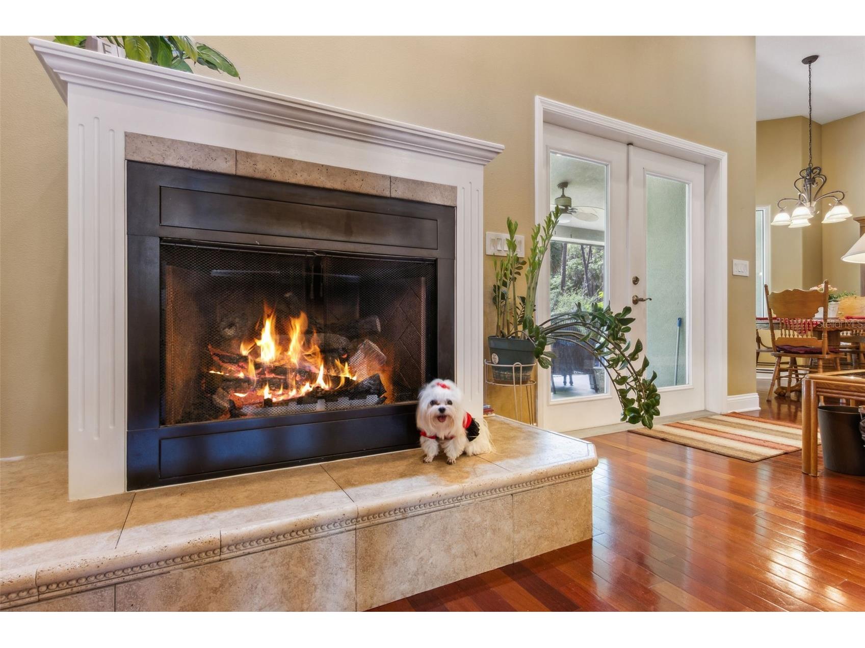 166 Mount Royal Avenue Crescent City FL 32112 - BEECHERS RUN CREEK GC537650 image20