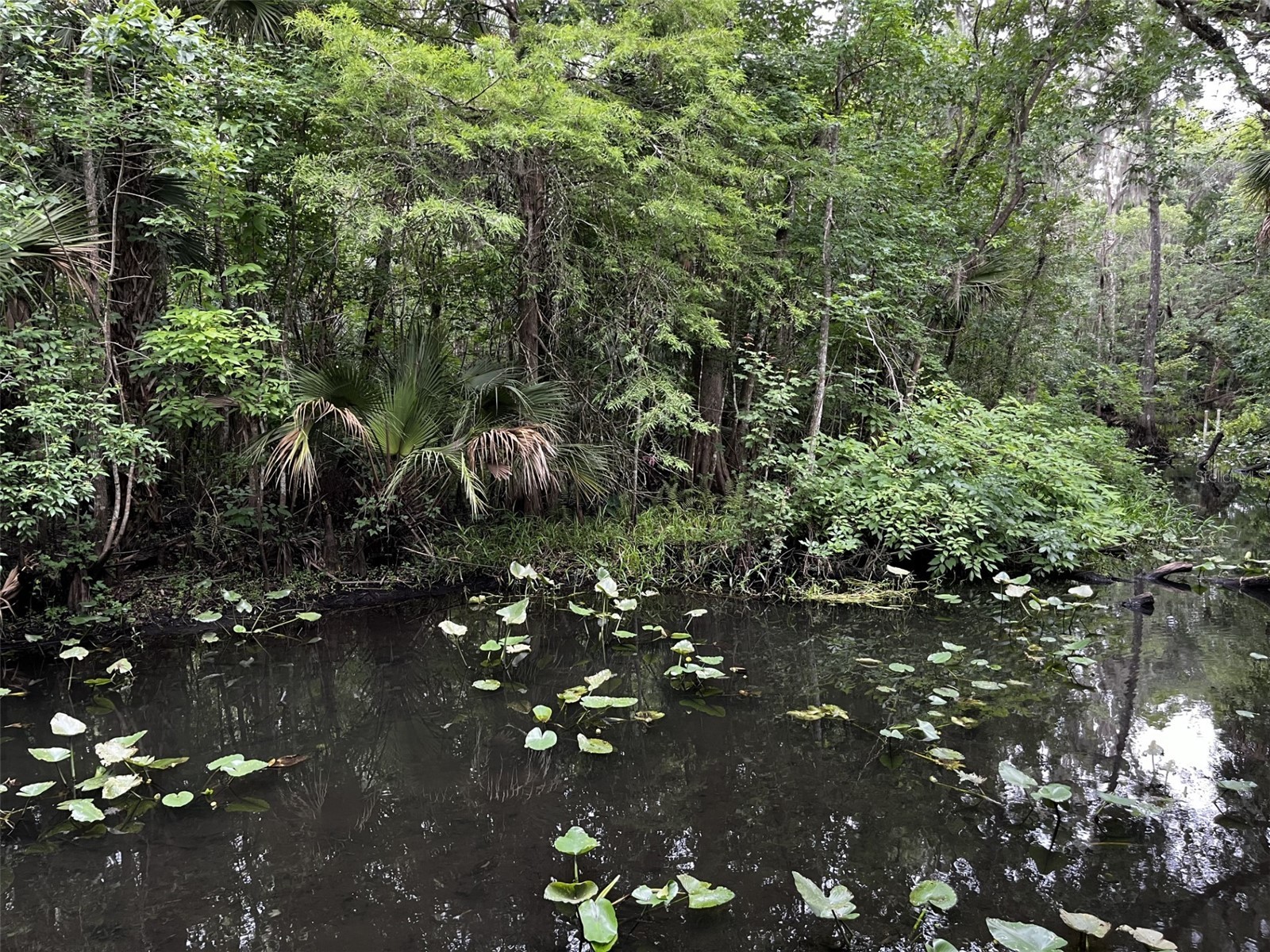 166 Mount Royal Avenue Crescent City FL 32112 - BEECHERS RUN CREEK GC537650 image53