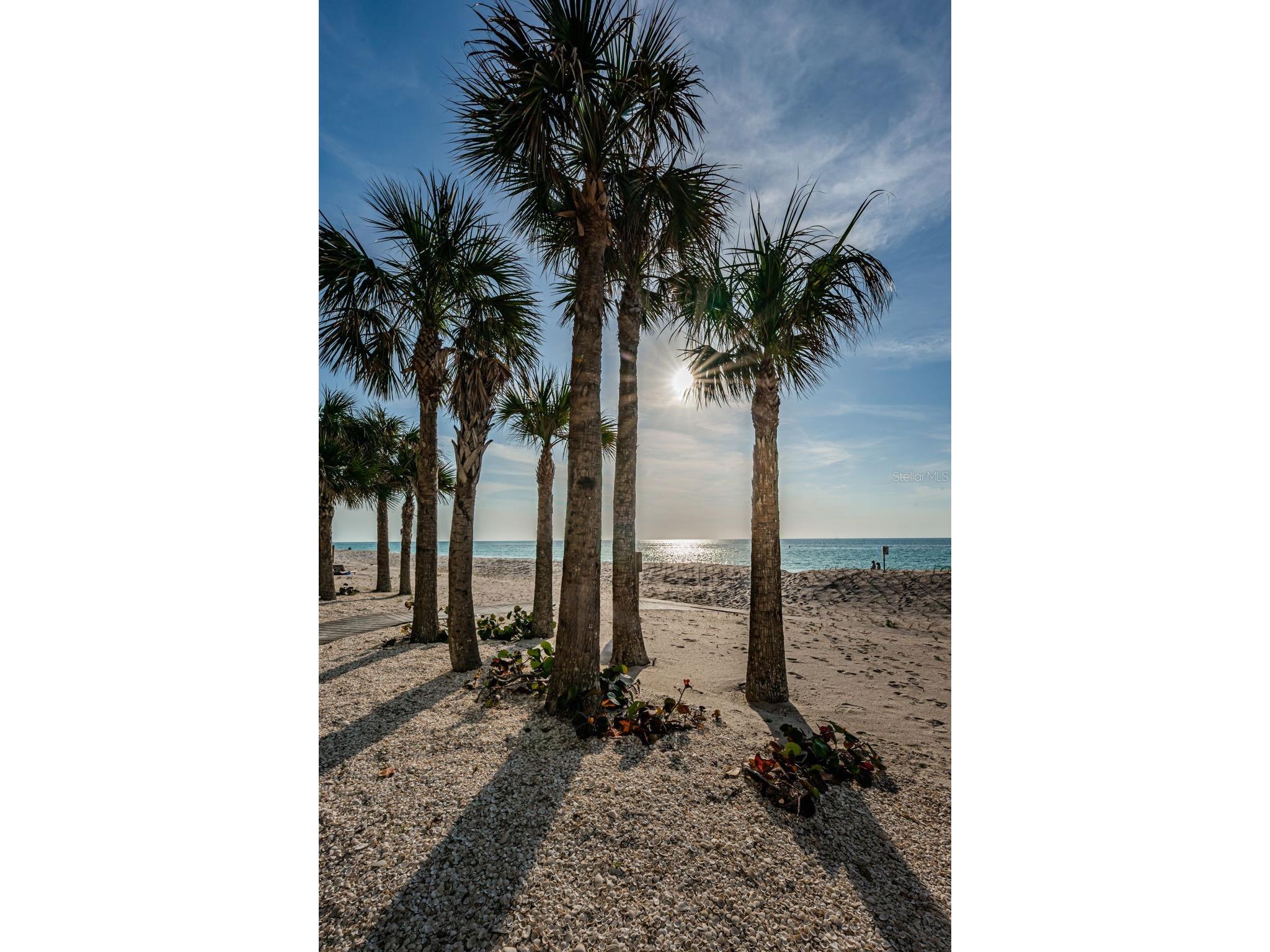 1660 Gulf Boulevard #208 Clearwater Beach FL 33767 - GULF OF MEXICO & INTRACOASTAL TB8506129 image75