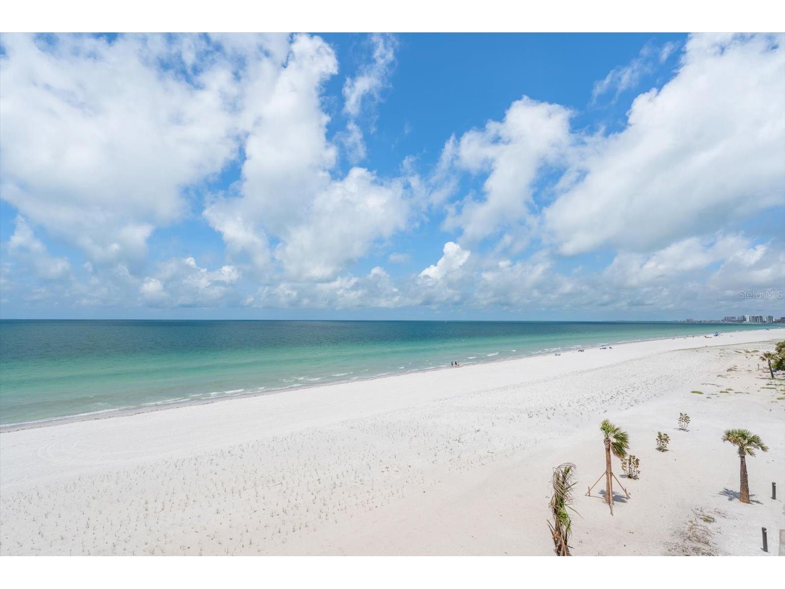 1660 Gulf Boulevard #403 Clearwater Beach FL 33767 TB8504550 image27