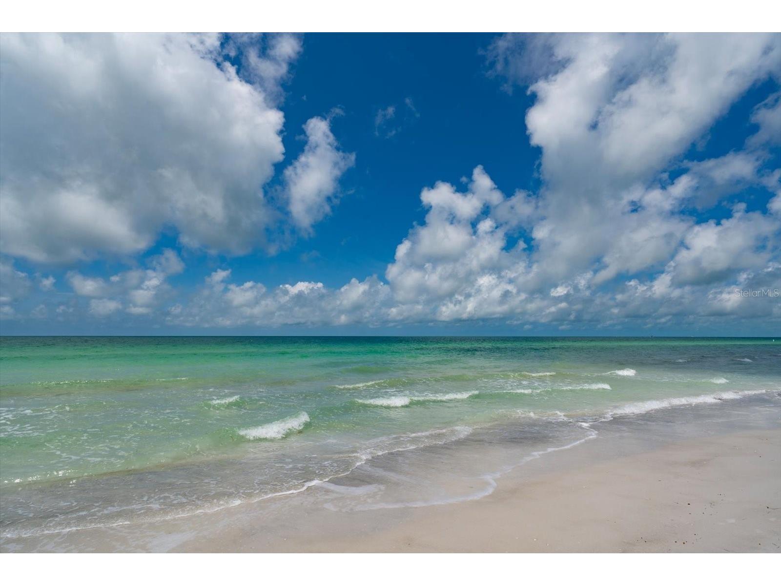 1660 Gulf Boulevard #403 Clearwater Beach FL 33767 TB8504550 image52