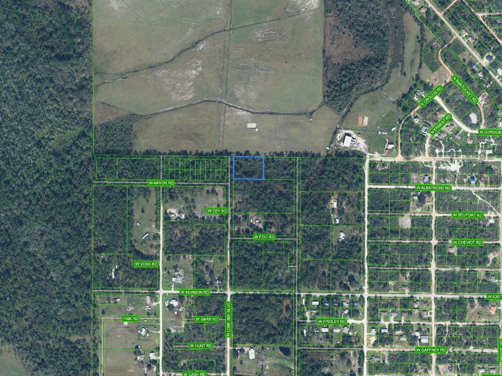 1660 N Lone Bay Boulevard Avon Park FL 33825 T3510575 image1