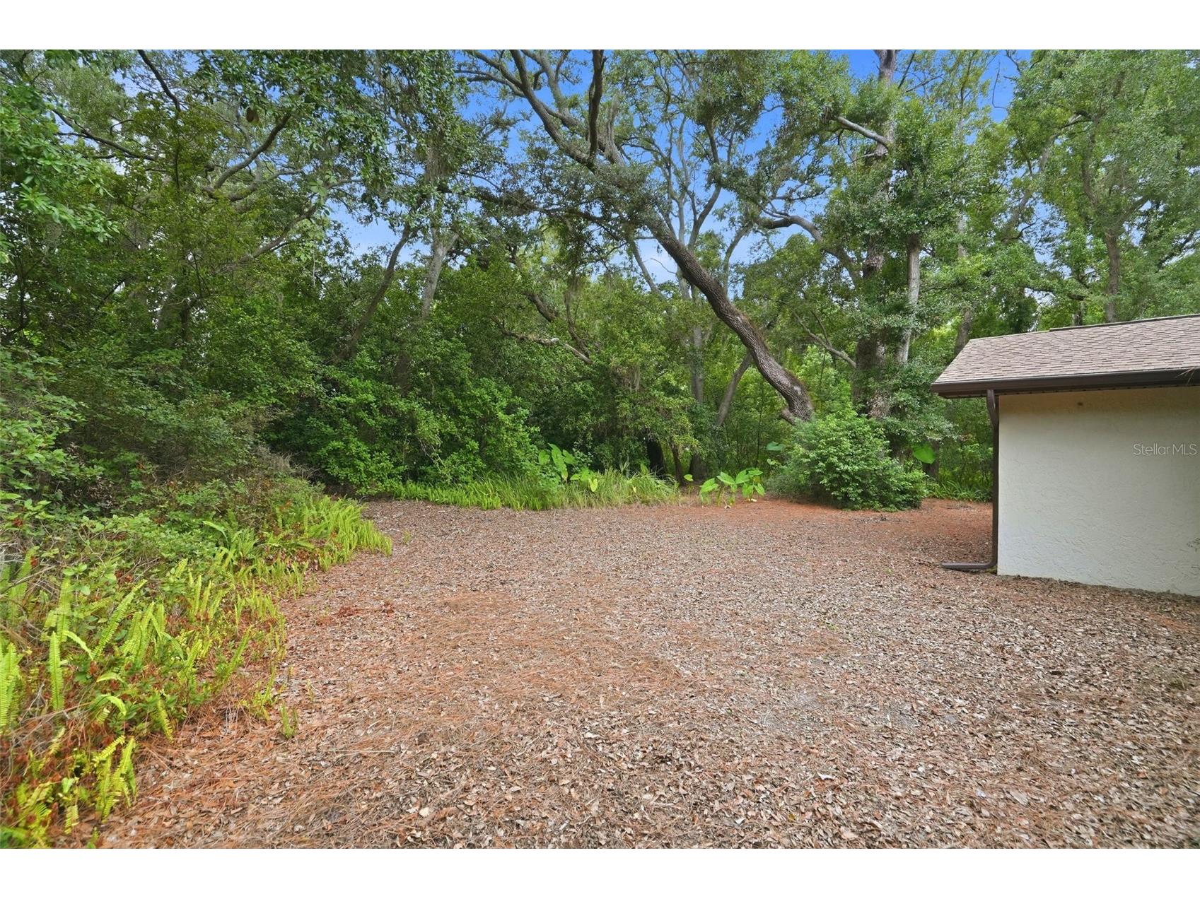 1660 Narnia Court Dunedin FL 34698 TB8529530 image30