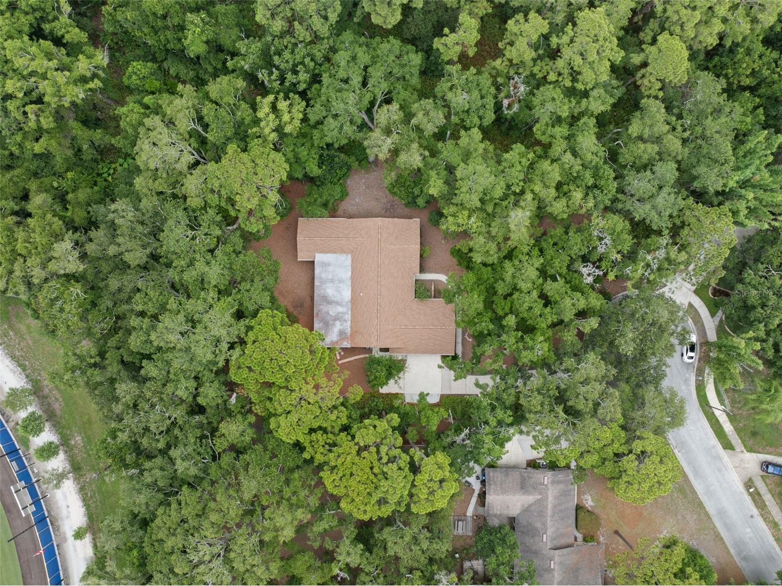 1660 Narnia Court Dunedin FL 34698 TB8529530 image31