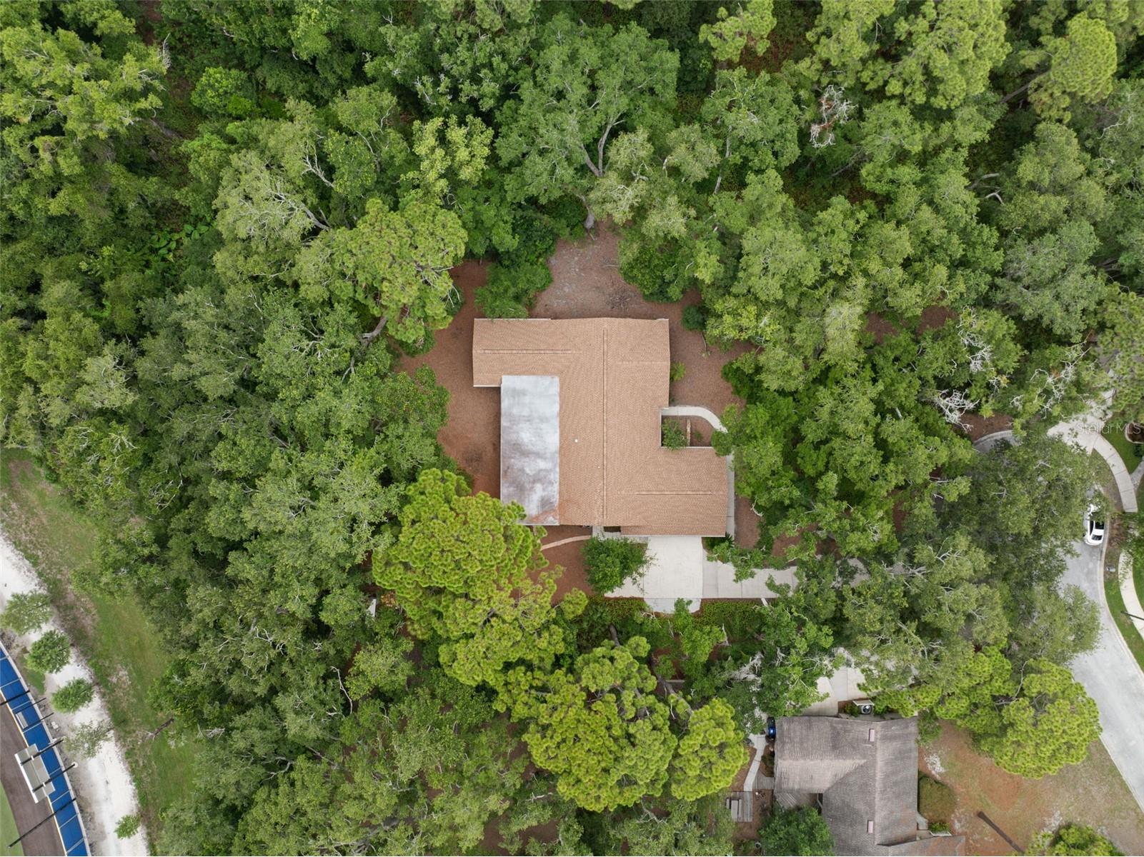 1660 Narnia Court Dunedin FL 34698 TB8529530 image35