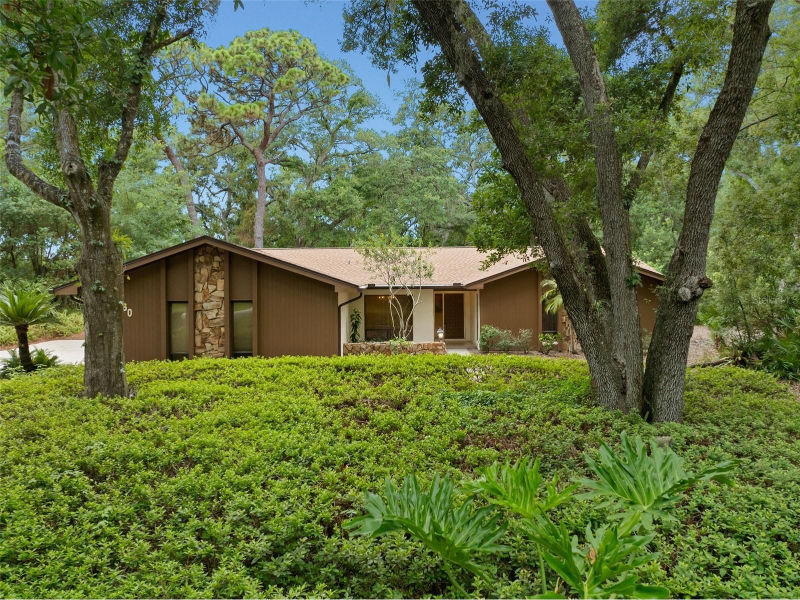 1660 Narnia Court Dunedin FL 34698 TB8529530 image36